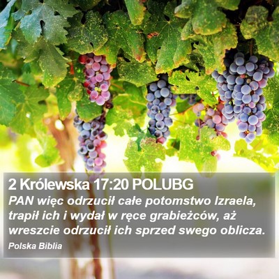 2 Królewska 17:20 POLUBG Bible Verse Image