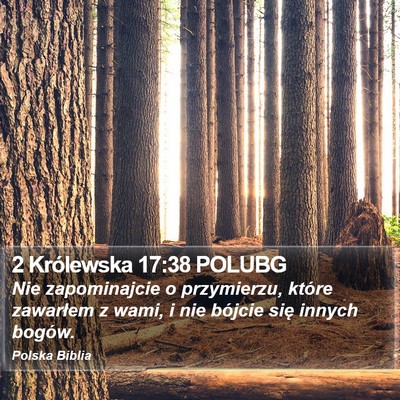 2 Królewska 17:38 POLUBG Bible Verse Image