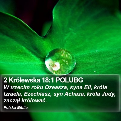 2 Królewska 18:1 POLUBG Bible Verse Image