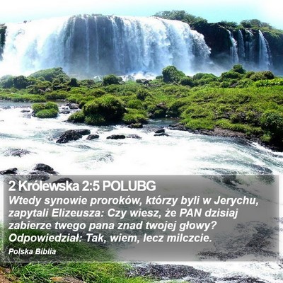2 Królewska 2:5 POLUBG Bible Verse Image