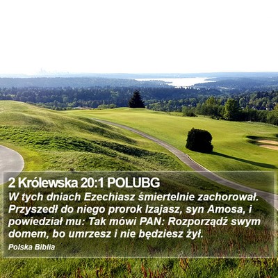 2 Królewska 20:1 POLUBG Bible Verse Image