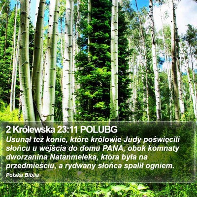 2 Królewska 23:11 POLUBG Bible Verse Image