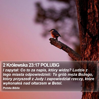 2 Królewska 23:17 POLUBG Bible Verse Image