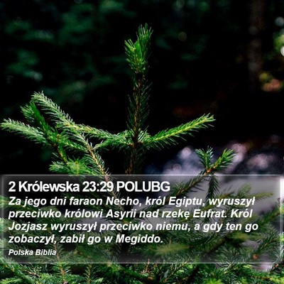 2 Królewska 23:29 POLUBG Bible Verse Image