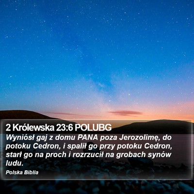 2 Królewska 23:6 POLUBG Bible Verse Image
