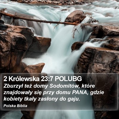 2 Królewska 23:7 POLUBG Bible Verse Image