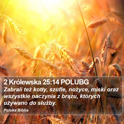 2 Królewska 25:14 POLUBG Bible Verse Image