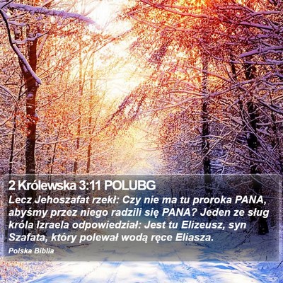 2 Królewska 3:11 POLUBG Bible Verse Image