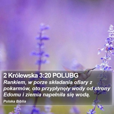 2 Królewska 3:20 POLUBG Bible Verse Image