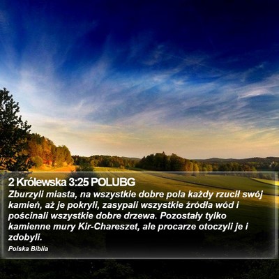 2 Królewska 3:25 POLUBG Bible Verse Image