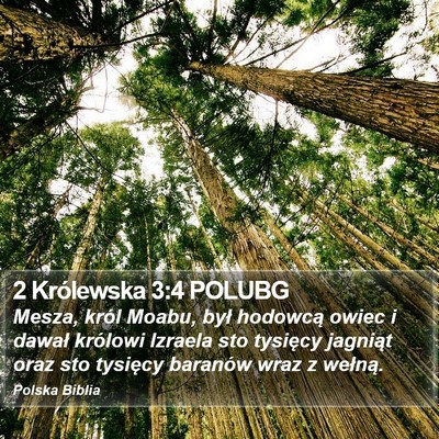 2 Królewska 3:4 POLUBG Bible Verse Image