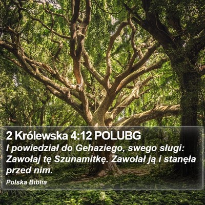 2 Królewska 4:12 POLUBG Bible Verse Image