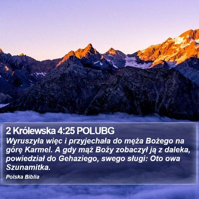 2 Królewska 4:25 POLUBG Bible Verse Image