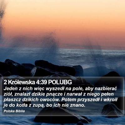 2 Królewska 4:39 POLUBG Bible Verse Image