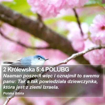 2 Królewska 5:4 POLUBG Bible Verse Image
