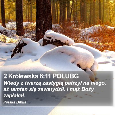 2 Królewska 8:11 POLUBG Bible Verse Image
