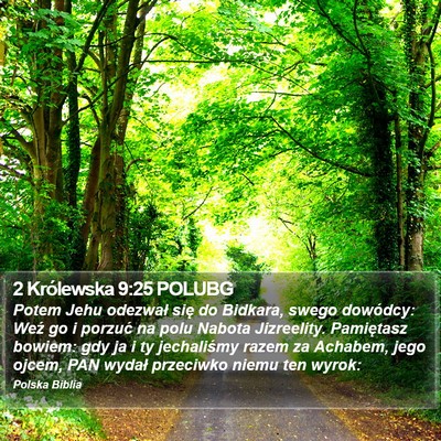 2 Królewska 9:25 POLUBG Bible Verse Image