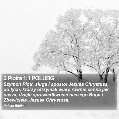 2 Piotra 1:1 POLUBG Bible Verse Image