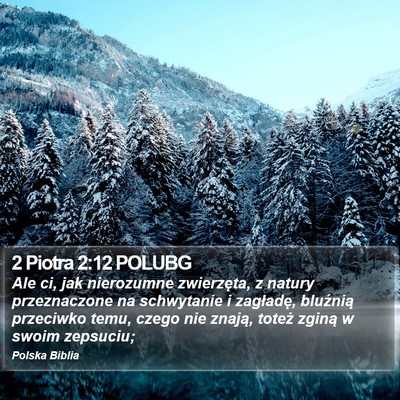 2 Piotra 2:12 POLUBG Bible Verse Image