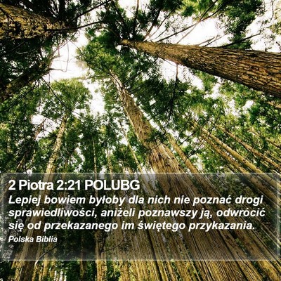2 Piotra 2:21 POLUBG Bible Verse Image