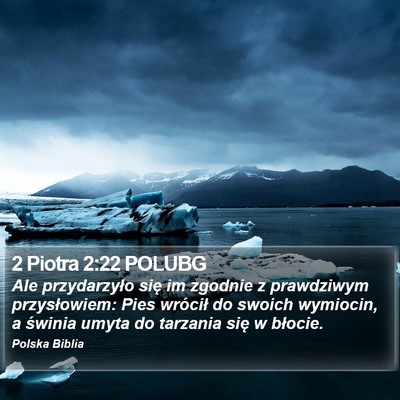 2 Piotra 2:22 POLUBG Bible Verse Image
