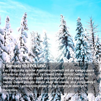 2 Samuela 10:3 POLUBG Bible Verse Image