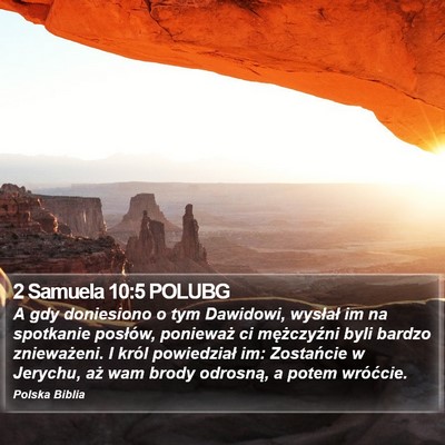 2 Samuela 10:5 POLUBG Bible Verse Image