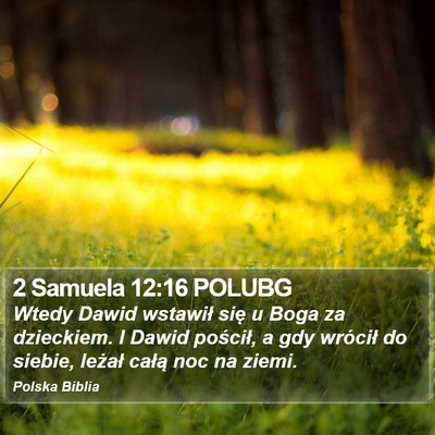 2 Samuela 12:16 POLUBG Bible Verse Image