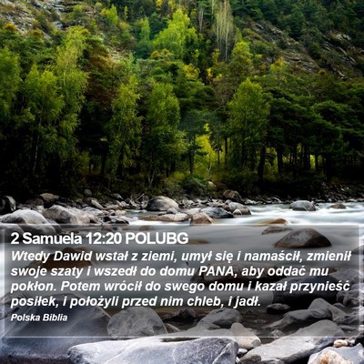 2 Samuela 12:20 POLUBG Bible Verse Image