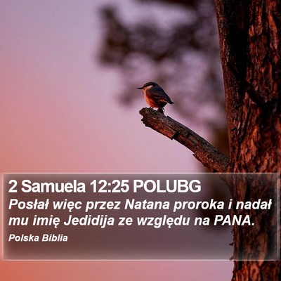2 Samuela 12:25 POLUBG Bible Verse Image