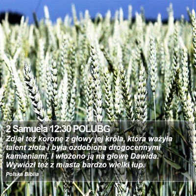 2 Samuela 12:30 POLUBG Bible Verse Image