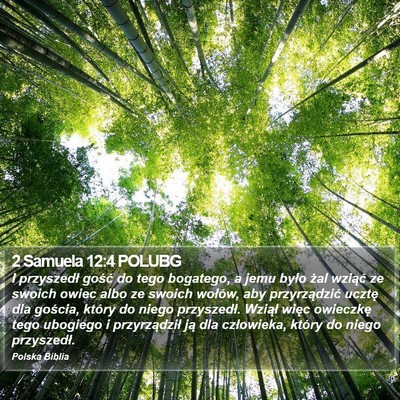 2 Samuela 12:4 POLUBG Bible Verse Image