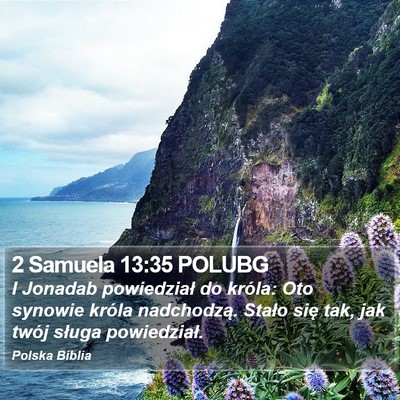 2 Samuela 13:35 POLUBG Bible Verse Image