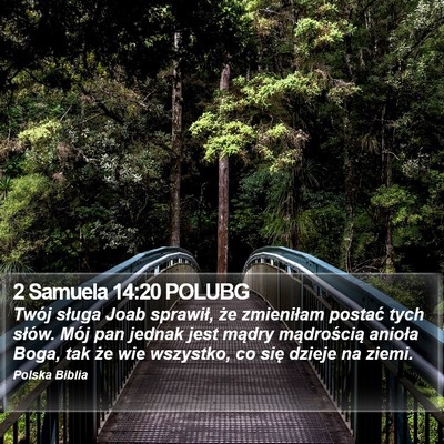 2 Samuela 14:20 POLUBG Bible Verse Image