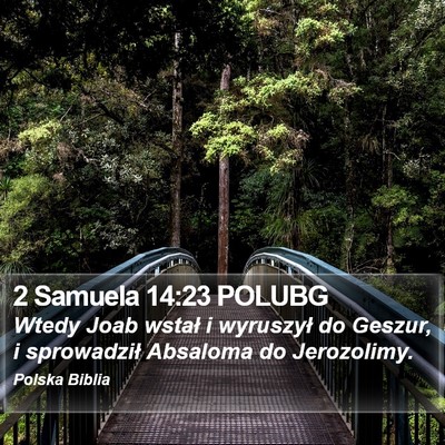 2 Samuela 14:23 POLUBG Bible Verse Image