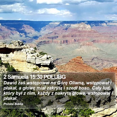 2 Samuela 15:30 POLUBG Bible Verse Image