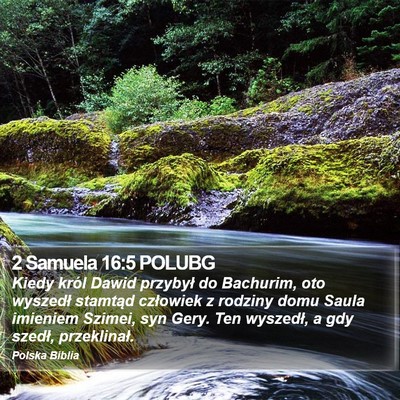 2 Samuela 16:5 POLUBG Bible Verse Image