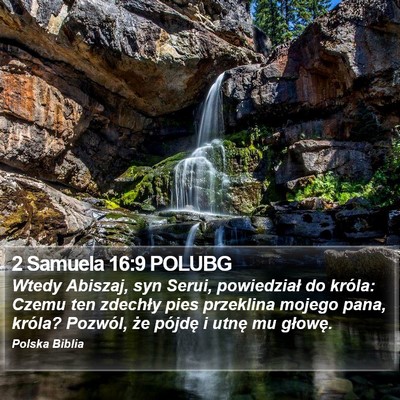 2 Samuela 16:9 POLUBG Bible Verse Image