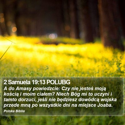 2 Samuela 19:13 POLUBG Bible Verse Image