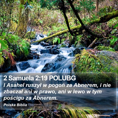 2 Samuela 2:19 POLUBG Bible Verse Image