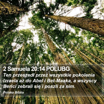 2 Samuela 20:14 POLUBG Bible Verse Image