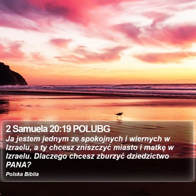 2 Samuela 20:19 POLUBG Bible Verse Image