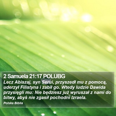 2 Samuela 21:17 POLUBG Bible Verse Image