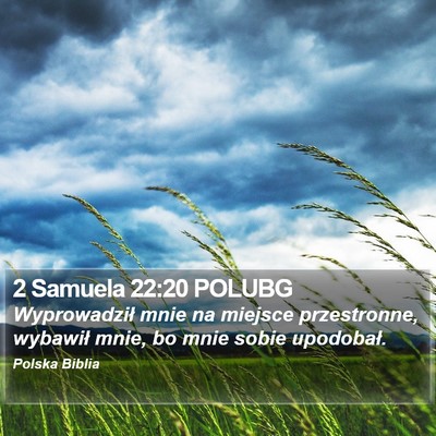 2 Samuela 22:20 POLUBG Bible Verse Image