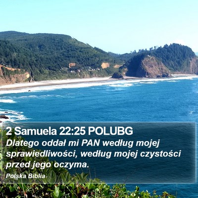 2 Samuela 22:25 POLUBG Bible Verse Image