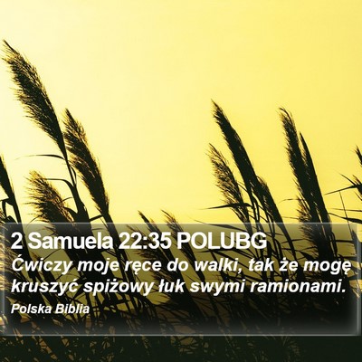 2 Samuela 22:35 POLUBG Bible Verse Image