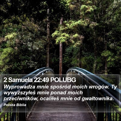2 Samuela 22:49 POLUBG Bible Verse Image