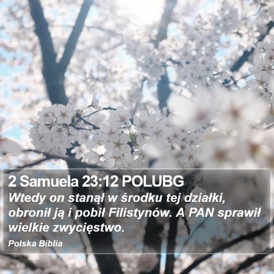 2 Samuela 23:12 POLUBG Bible Verse Image