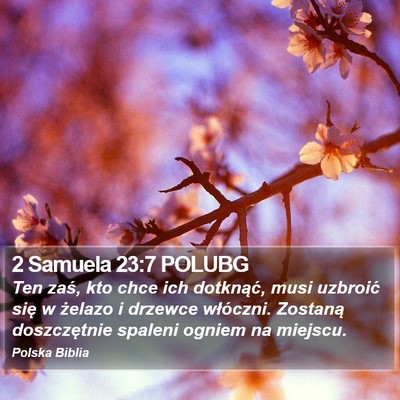 2 Samuela 23:7 POLUBG Bible Verse Image