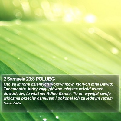 2 Samuela 23:8 POLUBG Bible Verse Image